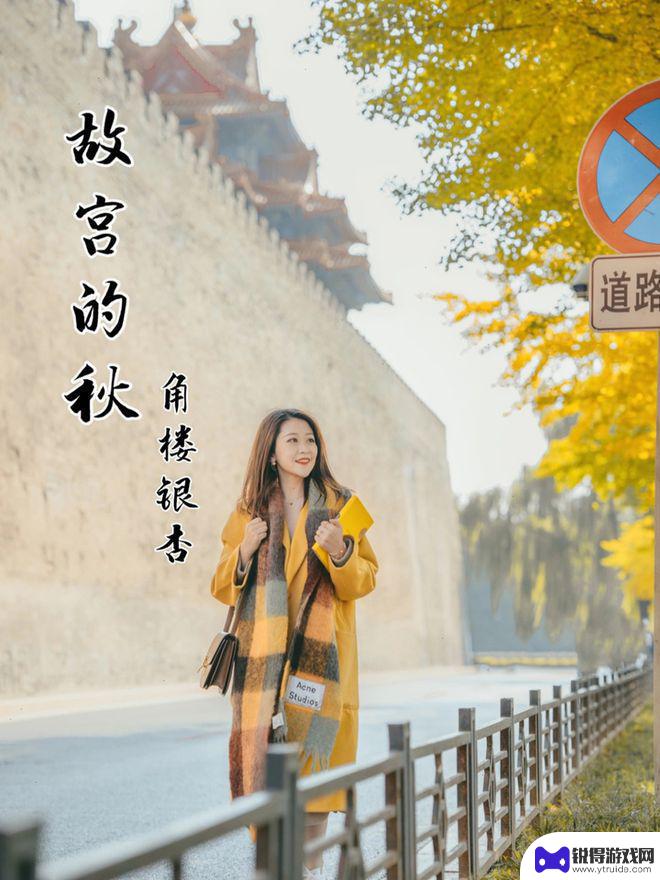 手机如何拍银杏照好看 银杏人像摄影技巧