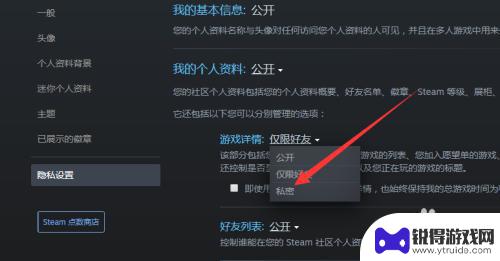 steam好友能看见你在玩什么 如何让steam好友无法看到你玩游戏