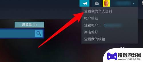 steam如何不隐藏资料 Steam个人资料如何隐藏游戏不让好友发现