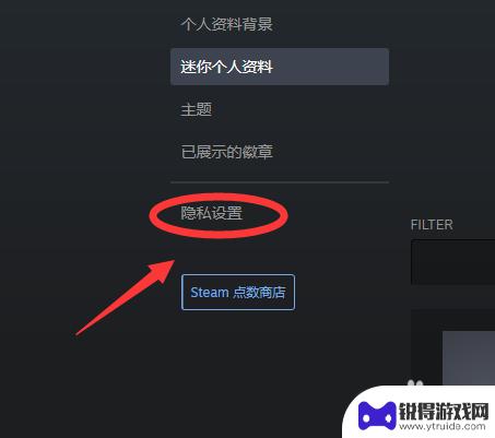 steam如何把收藏夹设为隐私 Steam怎么设置个人资料为私密