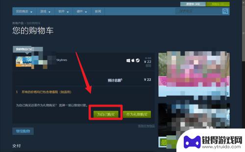 购买steam都市天际线 都市天际线游戏在Steam上购买教程