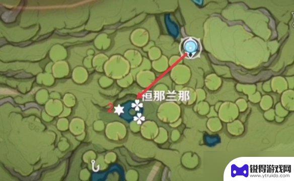 原神月莲在哪里采摘 《原神》月莲采摘地点推荐