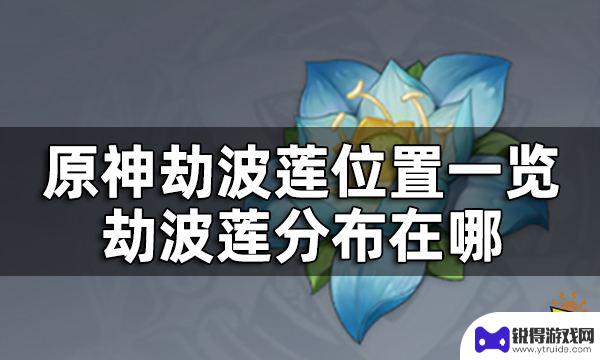 原神劫波莲分布位置 原神劫波莲位置图解