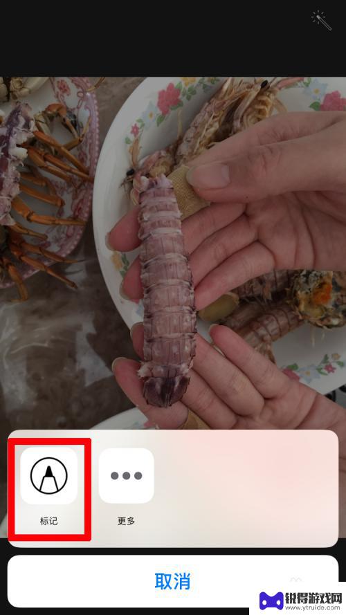 苹果手机如何制作标图 苹果手机怎么在照片上添加标记