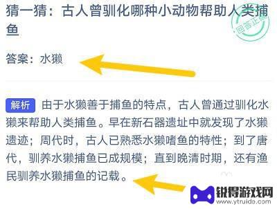 古人曾驯化水獭吗 古人驯化小动物捕鱼