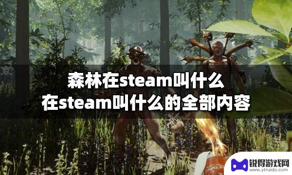 steam森林怎么看名字 Steam上叫什么名字的森林游戏好玩